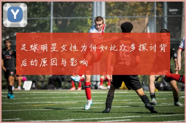 足球明星女性为何如此众多探讨背后的原因与影响