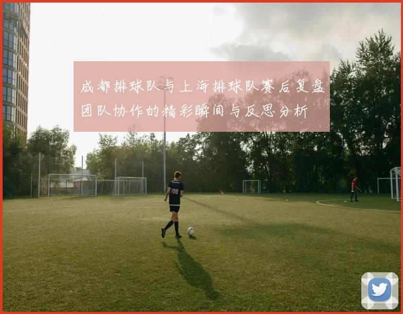 成都排球队与上海排球队赛后复盘团队协作的精彩瞬间与反思分析