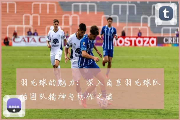 羽毛球的魅力：深入南京羽毛球队的团队精神与协作之道